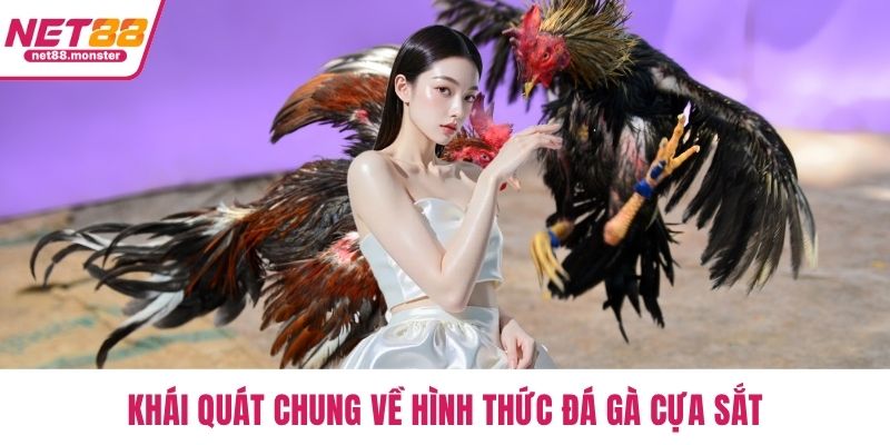 Khái quát chung về hình thức đá gà cựa sắt