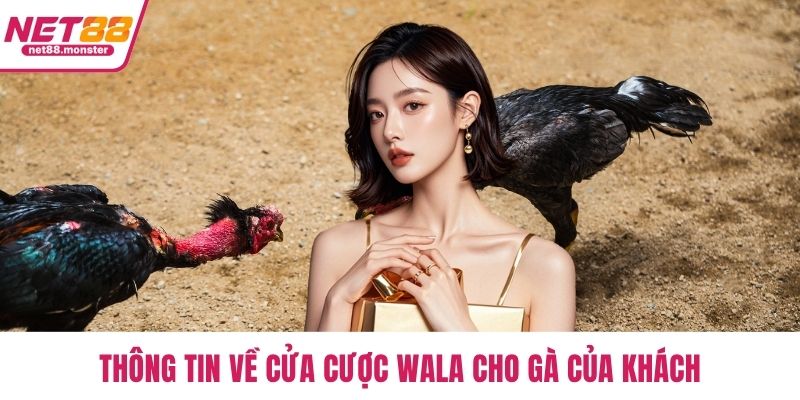 Thông tin về cửa cược Wala cho gà của khách